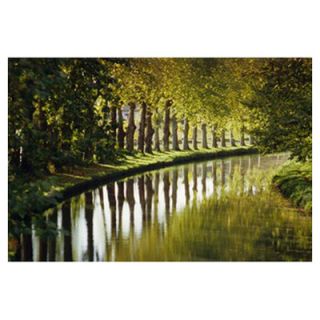 Graham & Brown Graham and Brown Tree Walk Photographic Print on Canvas 40 621