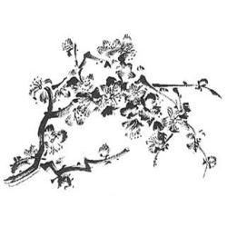 Penny Black Mounted Rubber Stamp 3.5 X4.5   Cherry Blossom
