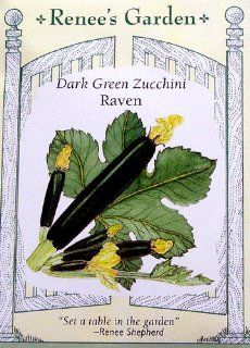 Zucchini Dark Green Raven Seeds  Zucchini Plants  Patio, Lawn & Garden