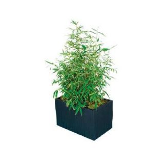 Modern Outdoor Kenji Rectangular Planter Box ke plntr/ 24 rec