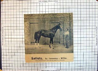 Antique Print Race Horse Satiety Isonomy Wifey Sherborn Newmarket  
