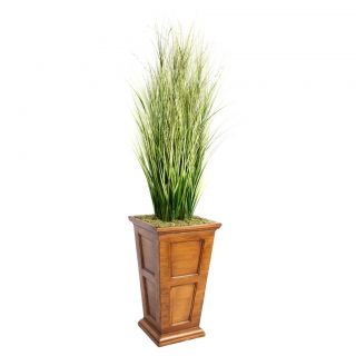 Laura Ashley 79 Tall Onion Grass With Twigs In 16 Fiberstone Planter
