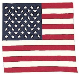 4150 US Flag Bandana Clothing