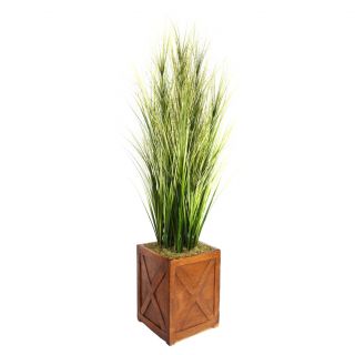 Laura Ashley 69 inch Tall Onion Grass With Twigs In Fiberstone Planter