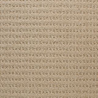 STAINMASTER Active Family Royal Livingstone Brown Level Loop Pile Indoor Carpet