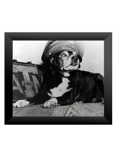 Reveille I Dons Cap (Framed) by Lulu Press