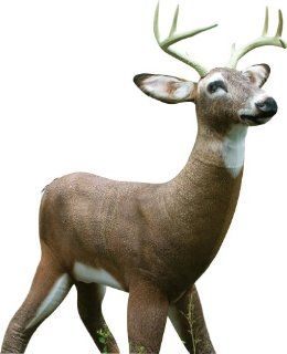 Tink's Mr. October Buck Decoy  Hunting Decoys  Sports & Outdoors
