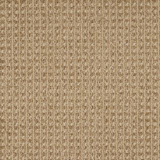 STAINMASTER Trusoft Rising Star Great Plains Fashion Forward Indoor Carpet