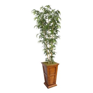Laura Ashley 91 inch Tall Natural Bamboo Tree In Fiberstone Planter