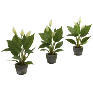 Spathyfillum And Cement Planter Set (set Of 3)