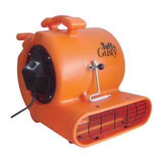 Schaefer Tuff & Gusty Carpet Dryer — 10in., Model# TG10-3CDO  Blowers