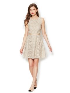 Lace Swing Dress by Ava & Aiden