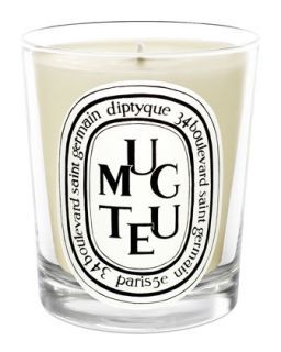Muguet Scented Candle   Diptyque
