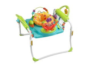 Fisher Price First Steps Jumperoo Multi