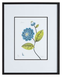 Blue Zinnia Print