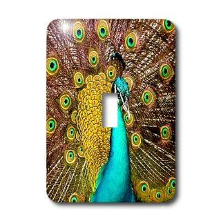 lsp_959_1 Birds   Colorful Peacock   Light Switch Covers   single toggle switch   Single Switch Plates  