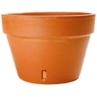 4 in H x 6 in W x 6.25 in D Terracotta Clay Outdoor Pot