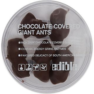 EDIBLE   Dark chocolate covered ants 8g