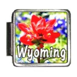 Wyoming State Flower Indian Paintbrush Photo Italian Charm Bracelet Link Italian Style Single Charms Jewelry