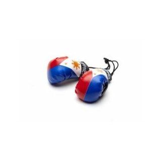 Mini Boxing Gloves   Philippines  Training Boxing Gloves  Sports & Outdoors