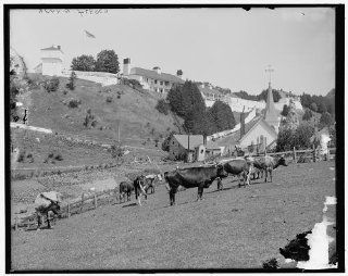 Photo Picturesque Fort Mackinac, cows, cattle, Island, Michigan, Detroit Publishing Co, 1900   Prints