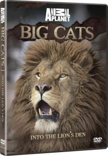 Discovery Channel   Big Cats Into The Lions Den      DVD