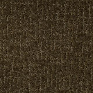 STAINMASTER Active Family Walk of Fame Rainforest Fashion Forward Indoor Carpet
