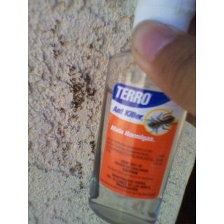 TERRO 2 oz Liquid Ant Killer ll T200  Home Pest Lures  Patio, Lawn & Garden