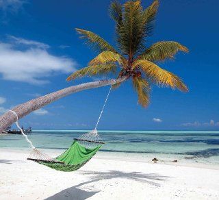 Wall Mural Photo of A Palm Tree and Hammock at the Maldives Island. Full Size 9' wide by 8' high (2, 75m x 2, 44m). Prepasted Removable, Reusable, Dry Strippable, Washable. Easy to hang for a seamless look. Other sizes and also custom sizes availa