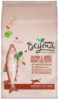 Purina Beyond Salmon and Whole Brown Rice Recipe for Pets, 6 Pound 