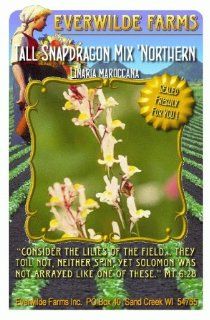 Everwilde Farms   Northern Lights Mix Tall Snapdragon Wildflower Seeds   Jumbo Seed Packet (2000)  Flowering Plants  Patio, Lawn & Garden