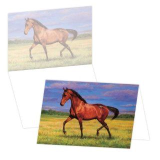 ECOeverywhere That's My Horse Boxed Card Set, 12 Cards and Envelopes, 4 x 6 Inches, Multicolored (bc12456)  Blank Postcards 