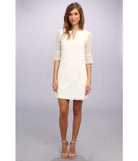 Adrianna Papell Daisy Embroidered Shift