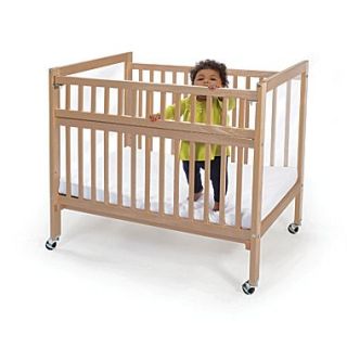 Whitney Brothers Clear View Folding Rail Crib, Natural