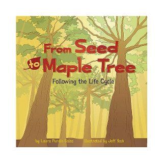 From Seed to Maple Tree Following the Life Cycle (Amazing Science Life Cycles) Laura Purdie Salas, Shelly Lyons, Jeff Yesh, Melissa Kes, Nathan Gassman, Lori Bye 9781404849310  Kids' Books