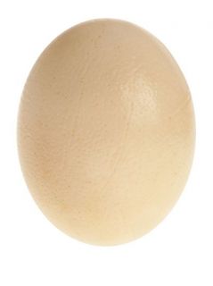 Maison Martin Margiela Ostrich Egg Shell   L’eclaireur