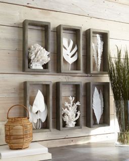 Lettuce Coral Shadowbox