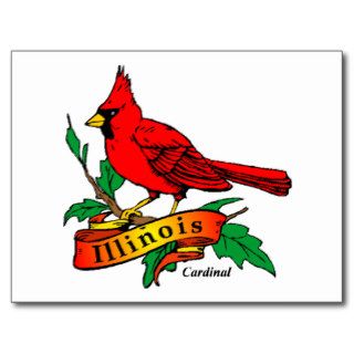 Illinois State Bird   Cardinal Postcards
