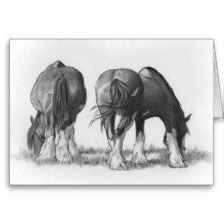 Two Draft Horses Grazing Original Pencil Art Cards