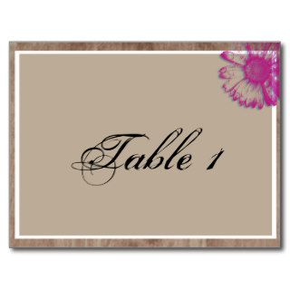 White and Fuchsia Daisy on Birch Table Number Postcard