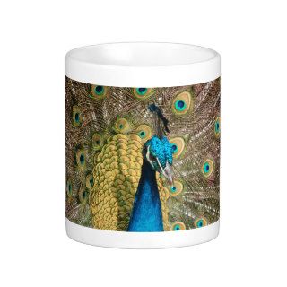 Peacock, mug