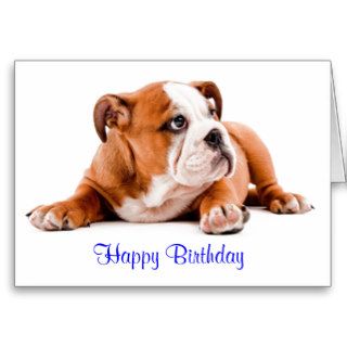 English Bulldog Happy Birthday Card   Verse inside