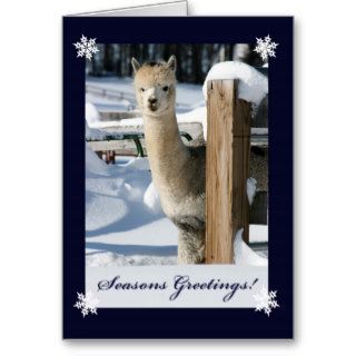Seasons Greeting Alpaca Card