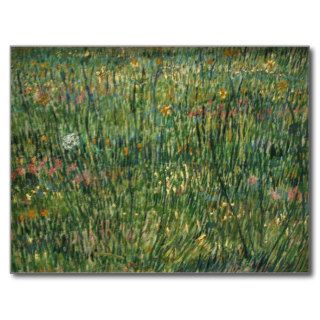 van gogh   patch of grass post card