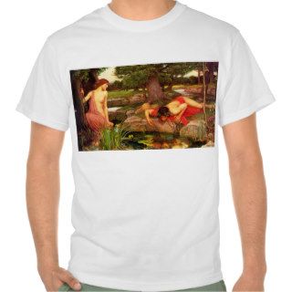 Waterhouse Echo and Narcissus T shirt