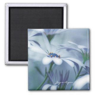 Magnet, "Daisy Dreams" square Kitchen accessories Magnets