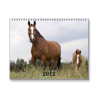 Horses 2012 Calendar