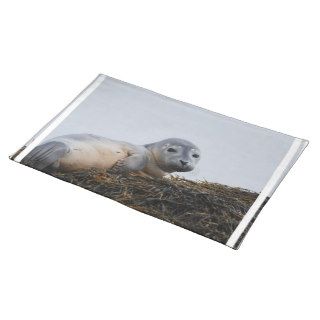 Cute Seal Pup Placemats
