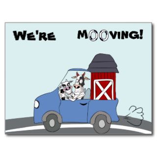 We're Moving Cow Postcard