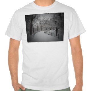 Snowstorm, Central Park, New York City T shirts